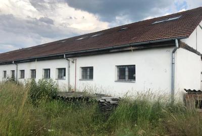 Spatiu industrial productie mobilier, jud Mures - 17
