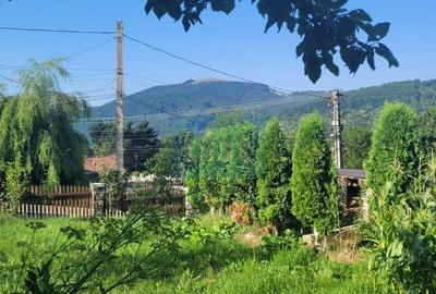 Casă Duplex 6 dormitoare, Valea Doftanei - 8