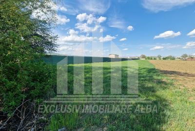 Teren extravilan | De vanzare | 2600 mp | 13.7 ml deschidere | Partos - 3