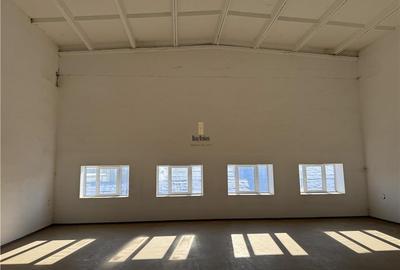 Spatiu Industrial - 600 mp - Productie - Depozitare - Distributie - Sibiu - 3