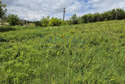 Teren intravilan, 1663 mp, central Dezmir - 3