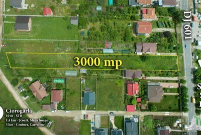 Teren Construcții intravilan de 3000 mp, în Ciorogârla
