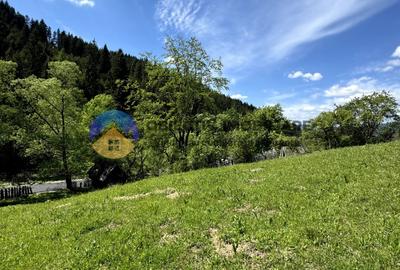 Teren 11557 mp comuna Ceahlau - 10