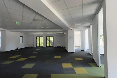Clădire Birouri | Icoanei | 2472 mp | 22 Locuri Parcare - 10