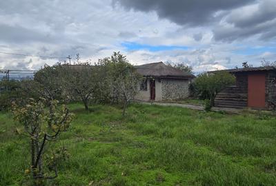 Exclusivitate-Vadu, zona centrala, casa 75mp, teren 1917 mp/31ml deschidere - 17