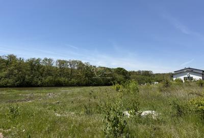 Teren superb la lac – 7.500 mp pentru dezvoltare rezidențială | Brănești - 2