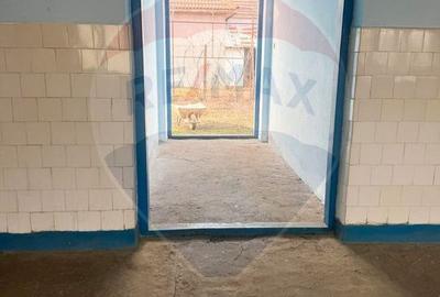 Comision 0%! Casa / Spațiu comercial + teren 972 mp - 4