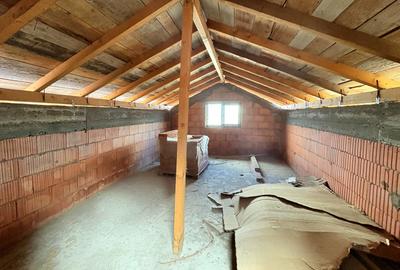 Casa P+1 la Rosu in Valu lui Traian - 13