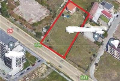 OPORTUNITATE INVESTITIE VILA CU 3000 MP PALAZU MARE - 14