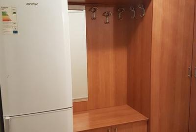 LACUL TEI, ADIACENTI, LANGA FACULTATEA DE C-TII - 4