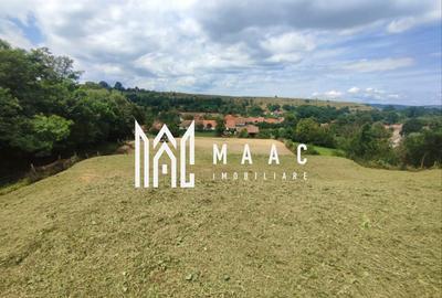 Teren intravilan | 3860 mp în Sărata | ideal pensiune sau resort - 2
