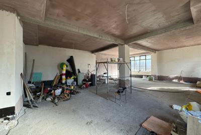 Spatiu comercial Visan - 3