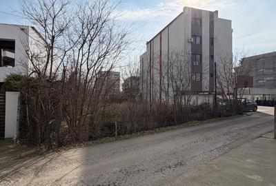 Teren intravilan Palazu , zona rezidentiala - 1