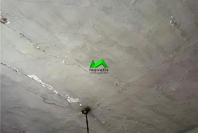 Apartament la casa de vanzare Sibiu Ultracentral - 5
