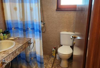 Vila P+1 5 camere, util 150mp teren 300mp toate utilitatile - 10