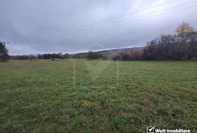 Teren intravilan in Padureni - Chinteni, 3200 mp, intre case - 2