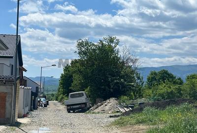 Teren 5.000 mp pe Calea Cisnadiei - 1