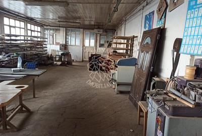 Complex de 3 hale 1545 mp-ideal prelucrare, service-Valea Ghinzii - 5