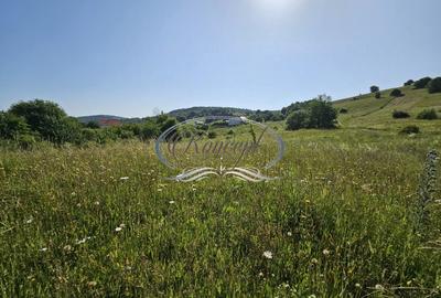 Teren construibil in proximitatea pensiunii ”La Mesteceni” - 2