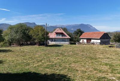 Teren Construcții intravilan de 4391 mp, în Sohodol