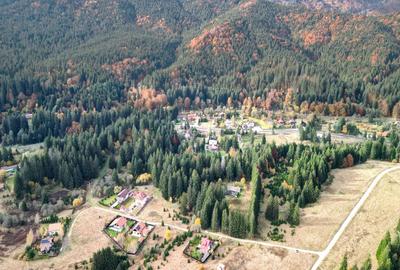 Poiana lui Manole - teren Intravilan - 34