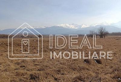 Teren 25.500 mp Valea Avrigului - 3