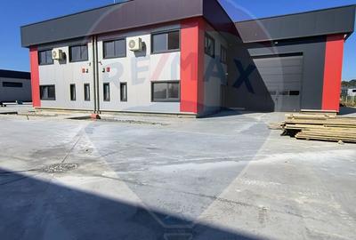 Hale noi de inchiriat Domnesti - putere instalata pana la 600kva - 23