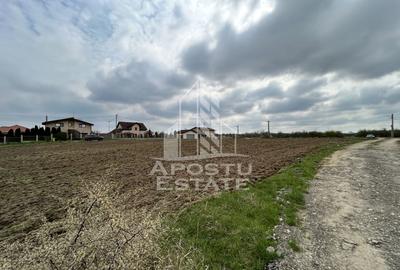 Parcele 550 mp, PUZ nou, langa case construite, asfalt, SAG-Manastire - 1