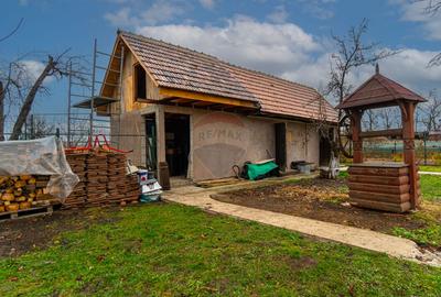 OPORTUNITATEI CASĂ modernă | 238mp utili și teren intravilan 7150mp - 54