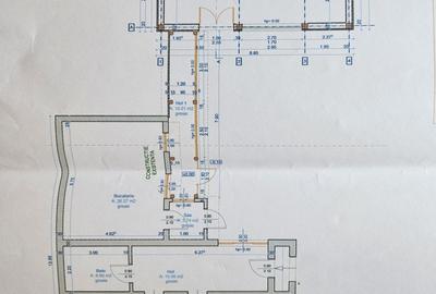 Două case individuale, P și P+M, construcții 1921/2016, în Timișoara, comision 0 - 13