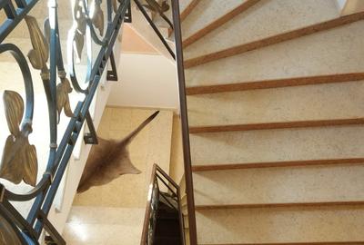Casa impresionanta de vanzare Cotroceni, teren 680 mp, renovata, garaj dublu - 9
