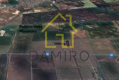 Teren Intravilan 5000 mp Buftea Tamasi - 2