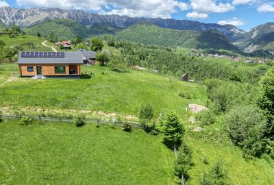 Teren intravilan 1400 mp in satul Pestera, Comuna Moieciu, zona Bran - 5