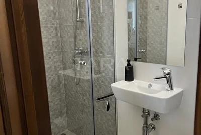 Apartament spectaculos dispus pe 2 nivele-Baciu - 7