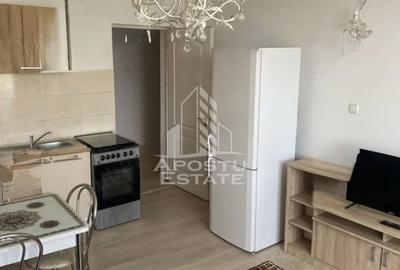 Apartament 2 camere de inchiriat ,Brancoveanu- Elisabetin-Timisoara - 4
