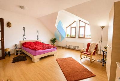 Vila individuala D+P+E+M, Bucium-Iasi. - 4