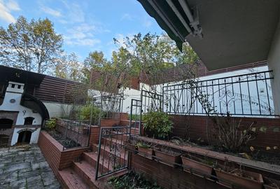 Inchiriez casa in cartier Gruia, pretabil locuinta, sediu firma, clinica, etc - 7