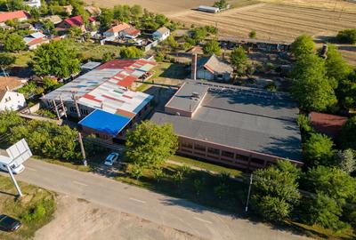 Hală industrială cu multiple destinații în Nădlac - 49