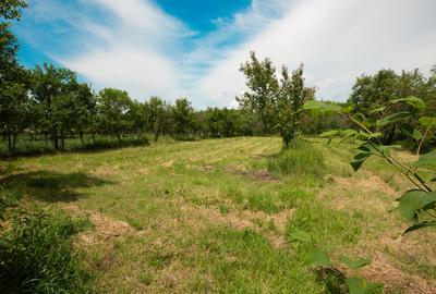 Casa de familie in zona rurala linistita - 6