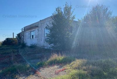 Vanzare sau inchiriere Cladire cadre beton  743 mp Movila Miresii teren 7354 mp - 15