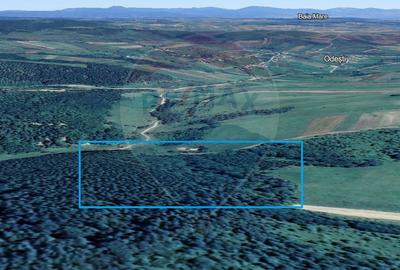 Pădure de vanzare cu zona de cabană Odesti - 3
