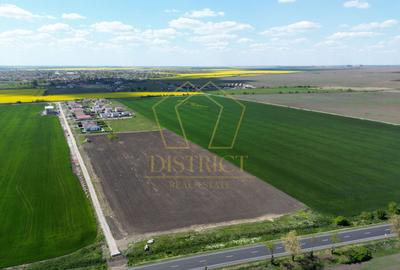 COM 0% Teren industrial pentru hale, servicii | DN69 Sanandrei - 2