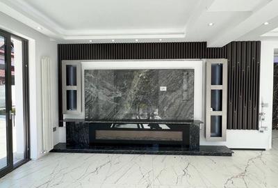 Vila individuala, 500mp, 6 camere, renovata complet, teren 1032mp, Iancu Nicolae - 2