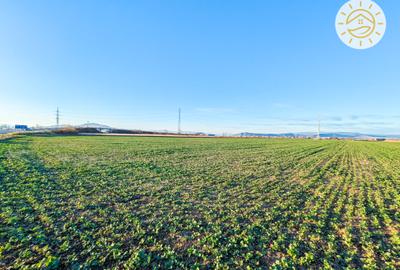 Teren intravilan 22800mp la 2km de Parcul Industrial Prejmer - 5