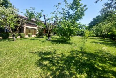 Vilă deosebită P+M în Corbeanca (Sat Ostratu) – Teren de 1.200 mp, - 6