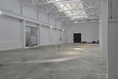 Spațiu industrial, în Mihai Bravu