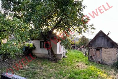 De vânzare casă în Dobolii de sus! - 4