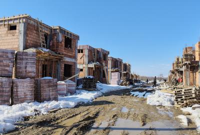 Vile individuale padurea Rosu - 18