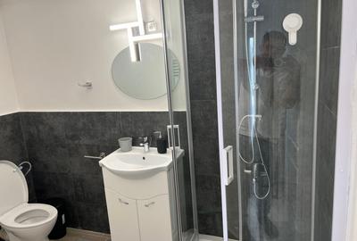 Penthouse Dorobanti, aparthotel-oportunitate investitie - 13