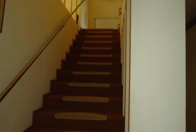 Vila piscina superba gradina matura cu iesire directa la padure - 42